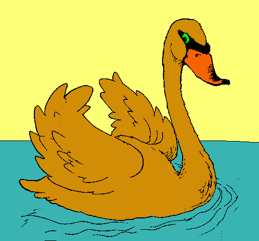 Cisne en el agua