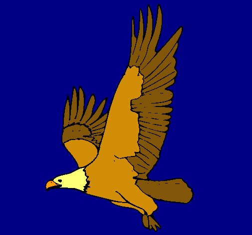 Águila volando