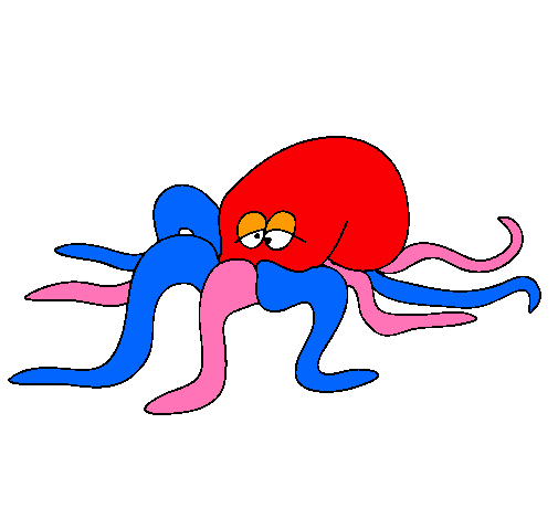 Pulpo