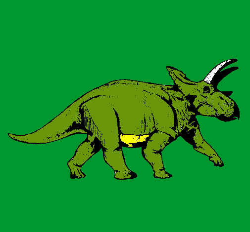 Triceratops