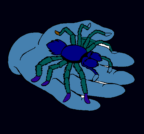 Tarántula