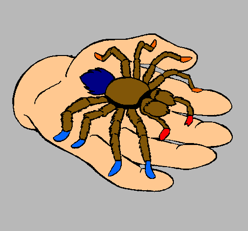 Tarántula