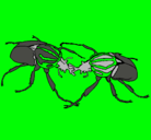 Dibujo Escarabajos pintado por christian