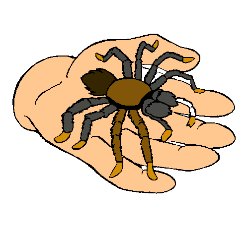 Tarántula