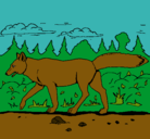 Dibujo Coyote pintado por Diego