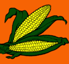 Dibujo Mazorca de maíz pintado por darwin