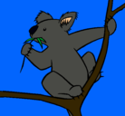 Dibujo Koala pintado por shaila422000