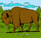 Dibujo Búfalo  pintado por juanpablo