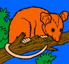 Dibujo Ardilla possum pintado por jean