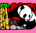 Dibujo Oso panda y bambú pintado por nerea