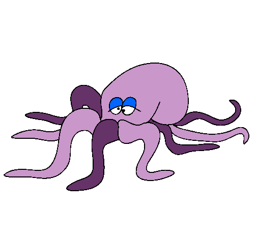 Pulpo