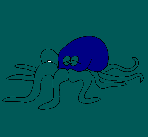 Pulpo