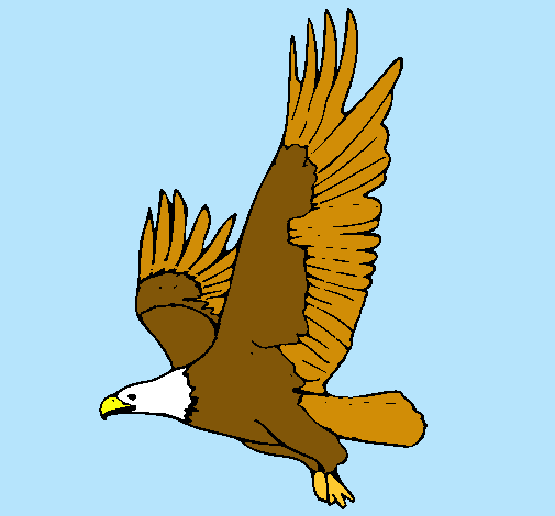 Águila volando