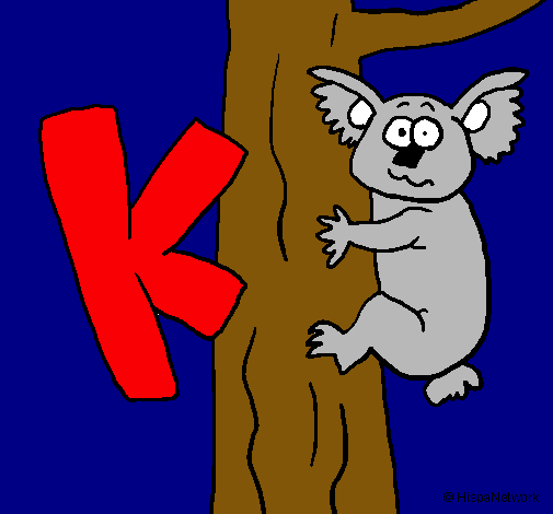 Koala