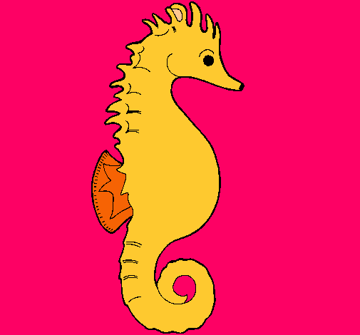 Caballito de mar