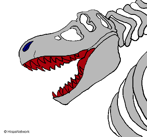 Esqueleto tiranosaurio rex