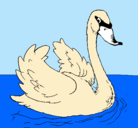 Dibujo Cisne en el agua pintado por belen