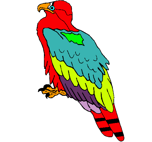 Águila