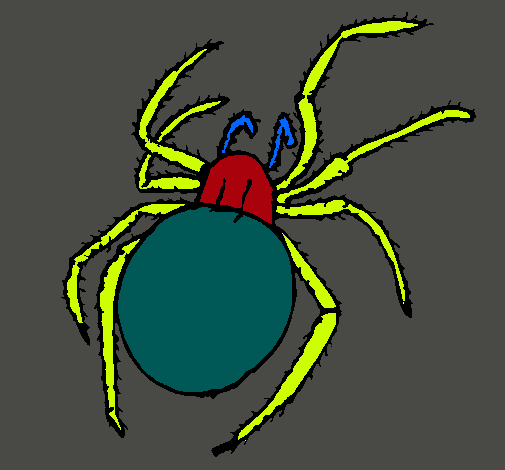 Araña venenosa