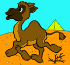 Dibujo Camello pintado por roberto