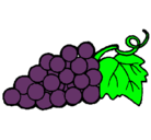 Dibujo racimo pintado por uva