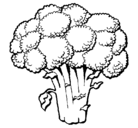 Dibujo Brócoli pintado por wilfredo