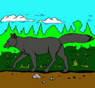 Dibujo Coyote pintado por emiliano