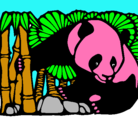 Dibujo Oso panda y bambú pintado por natalia