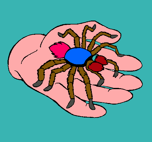 Tarántula