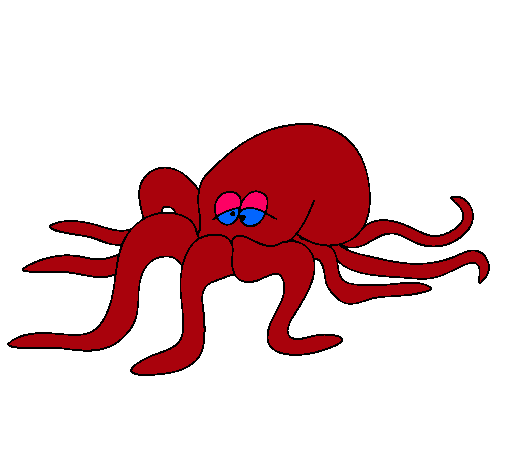 Pulpo