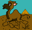 Dibujo Camello pintado por cystal
