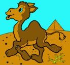 Dibujo Camello pintado por yonnder