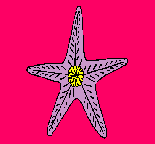 Estrella de mar