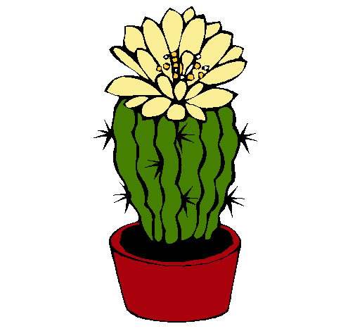 Cactus con flor