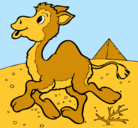 Dibujo Camello pintado por mariadolores