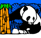 Dibujo Oso panda y bambú pintado por osopanda