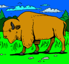Dibujo Búfalo  pintado por felipe