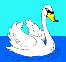 Dibujo Cisne en el agua pintado por CISNE