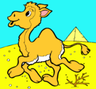 Dibujo Camello pintado por pATRICia