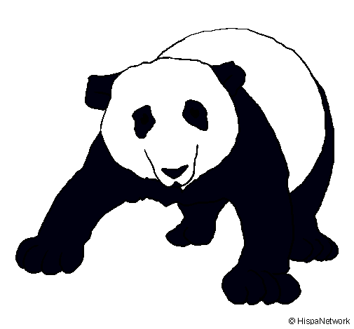 Oso panda