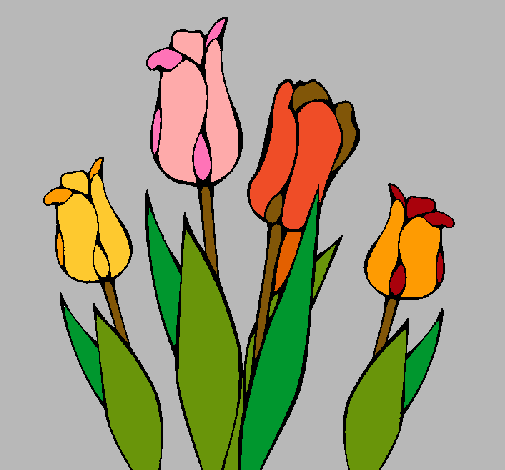 Tulipanes