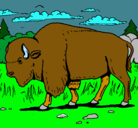 Dibujo Búfalo  pintado por jose
