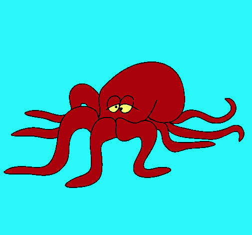 Pulpo