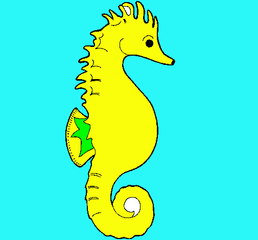 Caballito de mar