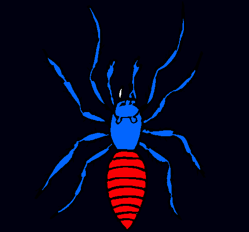 Araña tigre