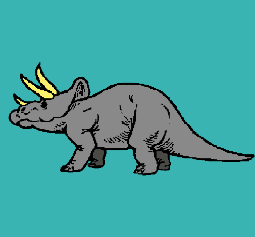 Triceratops