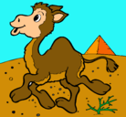 Dibujo Camello pintado por majo