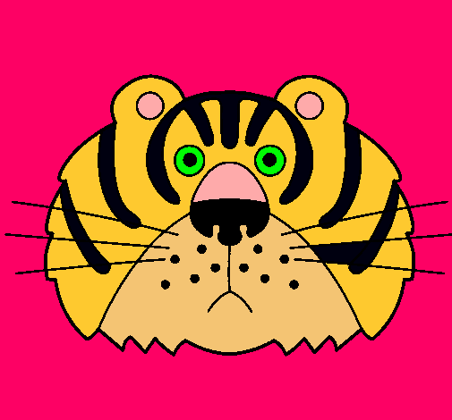 Tigre III