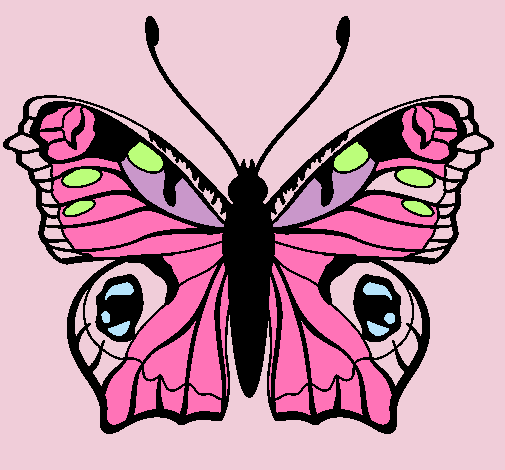 Mariposa 