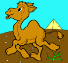 Dibujo Camello pintado por julio